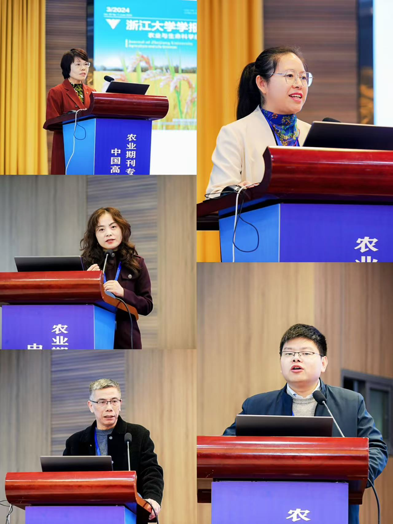 1764577012556702.png 图片8.png